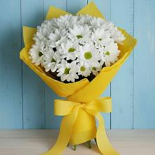 Букет цветов из:  Хризантемы в Пустоши