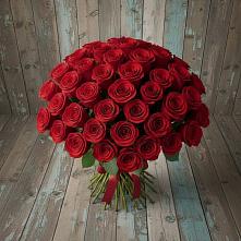 Букет 55 Красных роз Фридом #REPLACE_PRED# Пустоши