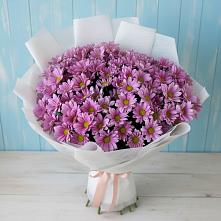 Букет цветов из:  Хризантемы в Пустоши