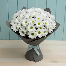 Букет цветов из:  Хризантемы #REPLACE_PRED# Пустоши