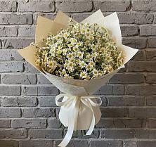 Букет цветов из:  Ромашки #REPLACE_PRED# Пустоши